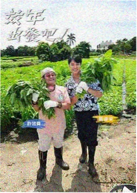 飘花影视 极限挑战